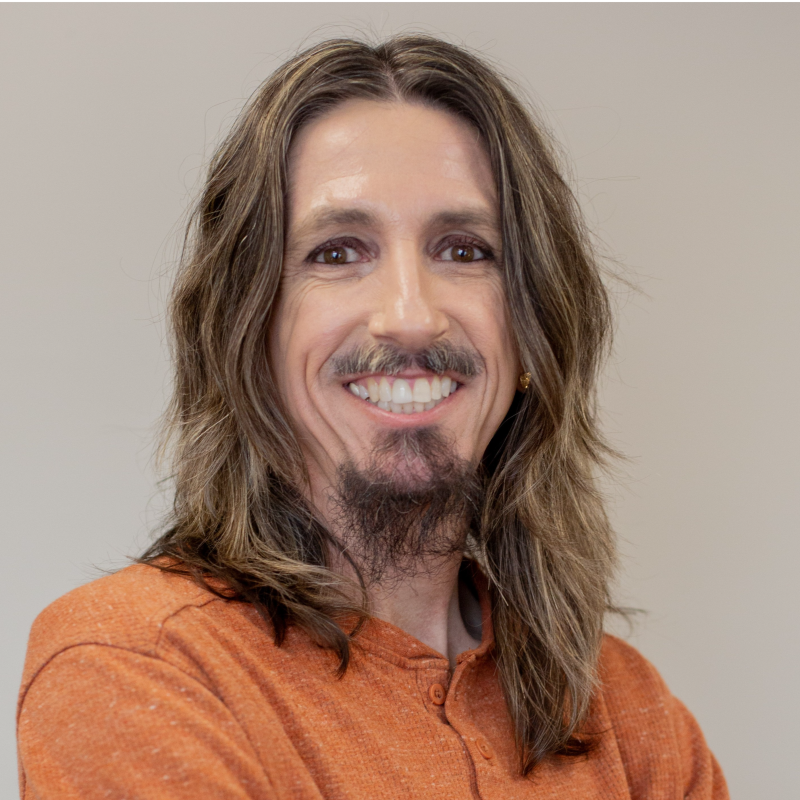Brian R. Ricks - Co-Owner at BriComp IT Consulting Services